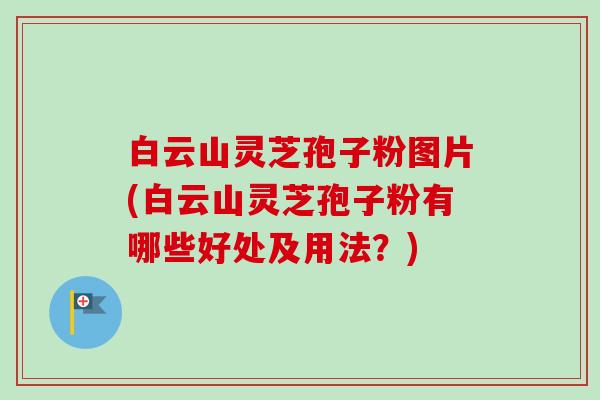 白云山灵芝孢子粉图片(白云山灵芝孢子粉有哪些好处及用法?)-第1张图片-卓越灵芝孢子粉 白云山灵芝孢子粉图片(白云山灵芝孢子粉有哪些好处及用法?)-第1张图片-卓越灵芝孢子粉