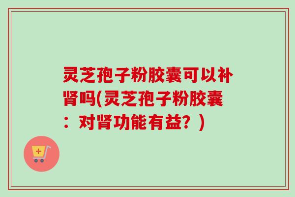 灵芝孢子粉胶囊可以补肾吗(灵芝孢子粉胶囊:对肾功能有益?)-第1张图片-卓越灵芝孢子粉 灵芝孢子粉胶囊可以补肾吗(灵芝孢子粉胶囊:对肾功能有益?)-第1张图片-卓越灵芝孢子粉