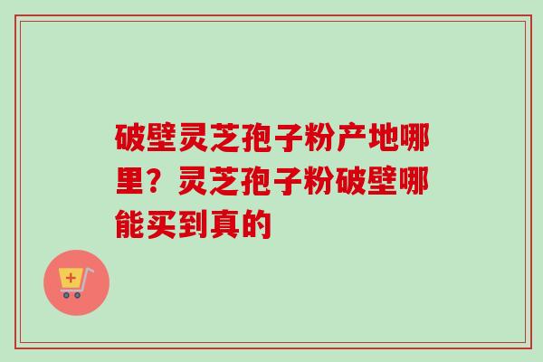 破壁灵芝孢子粉产地哪里？灵芝孢子粉破壁哪能买到真的-第1张图片-卓越灵芝孢子粉