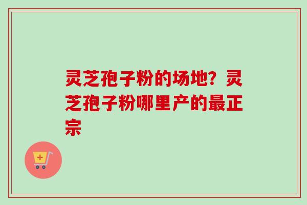 灵芝孢子粉的场地?灵芝孢子粉哪里产的最正宗-第1张图片-卓越灵芝孢子粉 灵芝孢子粉的场地?灵芝孢子粉哪里产的最正宗-第1张图片-卓越灵芝孢子粉
