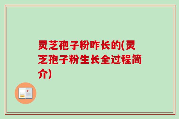 灵芝孢子粉咋长的(灵芝孢子粉生长全过程简介)-第1张图片-卓越灵芝孢子粉