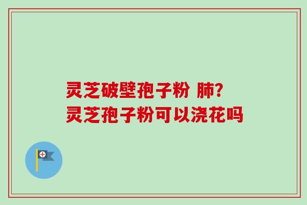 灵芝破壁孢子粉 肺?灵芝孢子粉可以浇花吗-第1张图片-卓越灵芝孢子粉 灵芝破壁孢子粉 肺?灵芝孢子粉可以浇花吗-第1张图片-卓越灵芝孢子粉