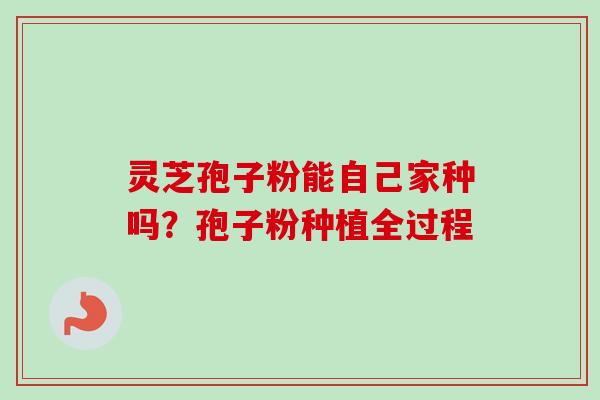 灵芝孢子粉能自己家种吗？孢子粉种植全过程-第1张图片-卓越灵芝孢子粉