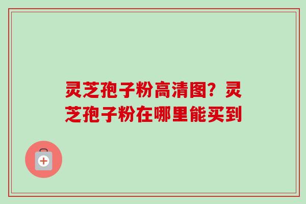 灵芝孢子粉高清图？灵芝孢子粉在哪里能买到-第1张图片-卓越灵芝孢子粉