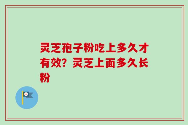 灵芝孢子粉吃上多久才有效?灵芝上面多久长粉-第1张图片-卓越灵芝孢子粉 灵芝孢子粉吃上多久才有效?灵芝上面多久长粉-第1张图片-卓越灵芝孢子粉