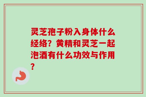 灵芝孢子粉入身体什么经络?黄精和灵芝一起泡酒有什么功效与作用?-第1张图片-卓越灵芝孢子粉 灵芝孢子粉入身体什么经络?黄精和灵芝一起泡酒有什么功效与作用?-第1张图片-卓越灵芝孢子粉