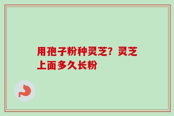 用孢子粉种灵芝？灵芝上面多久长粉-第1张图片-卓越灵芝孢子粉