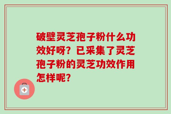 破壁灵芝孢子粉什么功效好呀?已采集了灵芝孢子粉的灵芝功效作用怎样呢?-第1张图片-卓越灵芝孢子粉 破壁灵芝孢子粉什么功效好呀?已采集了灵芝孢子粉的灵芝功效作用怎样呢?-第1张图片-卓越灵芝孢子粉