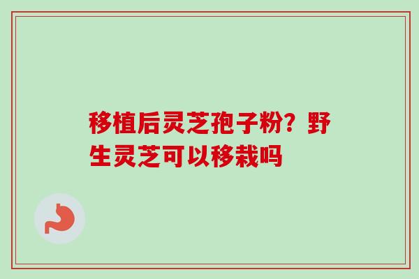 移植后灵芝孢子粉?野生灵芝可以移栽吗-第1张图片-卓越灵芝孢子粉 移植后灵芝孢子粉?野生灵芝可以移栽吗-第1张图片-卓越灵芝孢子粉