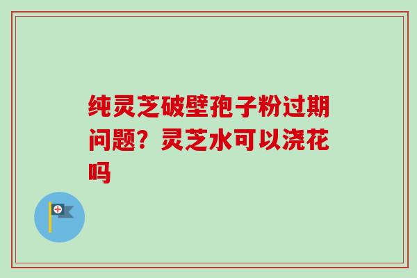 纯灵芝破壁孢子粉过期问题？灵芝水可以浇花吗-第1张图片-卓越灵芝孢子粉