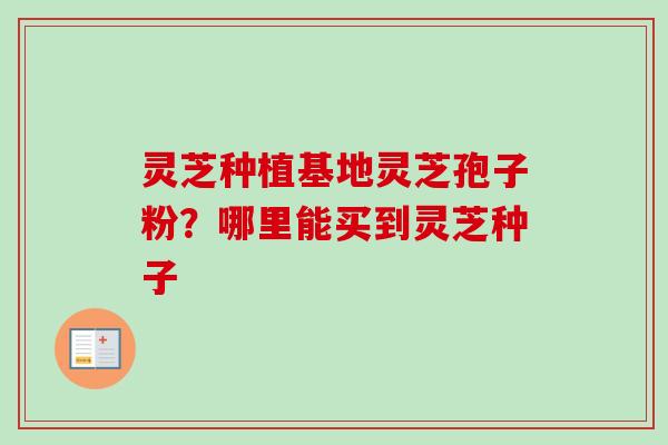 灵芝种植基地灵芝孢子粉?哪里能买到灵芝种子-第1张图片-卓越灵芝孢子粉 灵芝种植基地灵芝孢子粉?哪里能买到灵芝种子-第1张图片-卓越灵芝孢子粉
