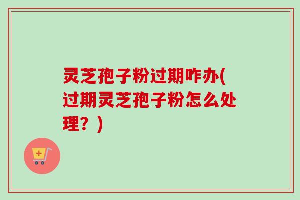 灵芝孢子粉过期咋办(过期灵芝孢子粉怎么处理?)-第1张图片-卓越灵芝孢子粉 灵芝孢子粉过期咋办(过期灵芝孢子粉怎么处理?)-第1张图片-卓越灵芝孢子粉