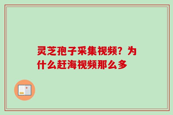 灵芝孢子采集视频?为什么赶海视频那么多-第1张图片-卓越灵芝孢子粉 灵芝孢子采集视频?为什么赶海视频那么多-第1张图片-卓越灵芝孢子粉
