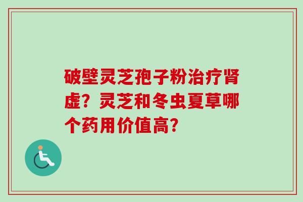 破壁灵芝孢子粉治疗肾虚?灵芝和冬虫夏草哪个药用价值高?-第1张图片-卓越灵芝孢子粉 破壁灵芝孢子粉治疗肾虚?灵芝和冬虫夏草哪个药用价值高?-第1张图片-卓越灵芝孢子粉