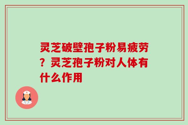 灵芝破壁孢子粉易疲劳？灵芝孢子粉对人体有什么作用-第1张图片-卓越灵芝孢子粉