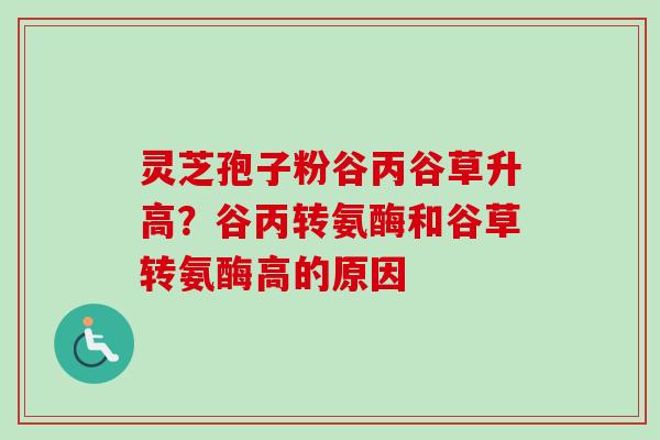 灵芝孢子粉谷丙谷草升高？谷丙转氨酶和谷草转氨酶高的原因-第1张图片-卓越灵芝孢子粉