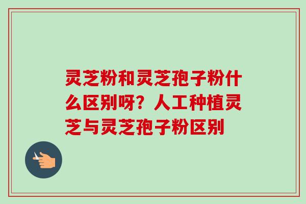 灵芝粉和灵芝孢子粉什么区别呀?人工种植灵芝与灵芝孢子粉区别-第1张图片-卓越灵芝孢子粉 灵芝粉和灵芝孢子粉什么区别呀?人工种植灵芝与灵芝孢子粉区别-第1张图片-卓越灵芝孢子粉