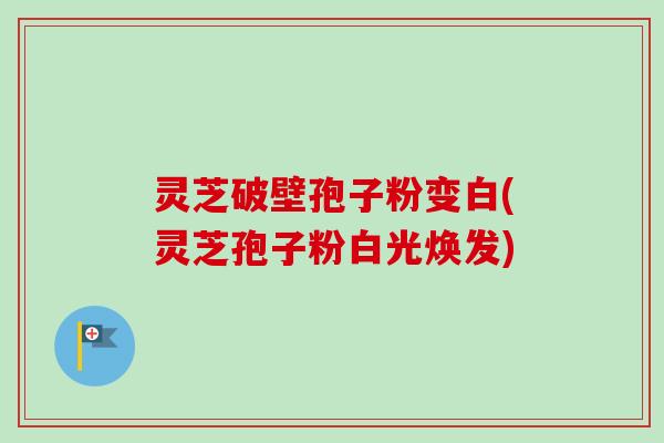 灵芝破壁孢子粉变白(灵芝孢子粉白光焕发)-第1张图片-卓越灵芝孢子粉 灵芝破壁孢子粉变白(灵芝孢子粉白光焕发)-第1张图片-卓越灵芝孢子粉