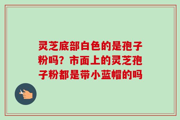 灵芝底部白色的是孢子粉吗？市面上的灵芝孢子粉都是带小蓝帽的吗-第1张图片-卓越灵芝孢子粉
