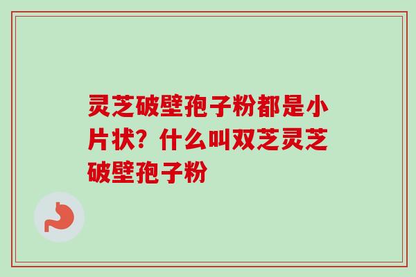 灵芝破壁孢子粉都是小片状？什么叫双芝灵芝破壁孢子粉-第1张图片-卓越灵芝孢子粉