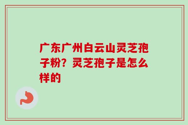广东广州白云山灵芝孢子粉?灵芝孢子是怎么样的-第1张图片-卓越灵芝孢子粉 广东广州白云山灵芝孢子粉?灵芝孢子是怎么样的-第1张图片-卓越灵芝孢子粉