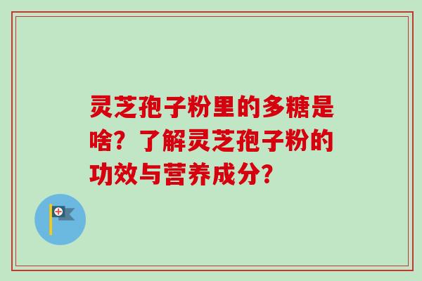 灵芝孢子粉里的多糖是啥?了解灵芝孢子粉的功效与营养成分?-第1张图片-卓越灵芝孢子粉 灵芝孢子粉里的多糖是啥?了解灵芝孢子粉的功效与营养成分?-第1张图片-卓越灵芝孢子粉