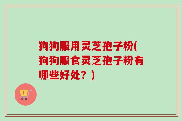 狗狗服用灵芝孢子粉(狗狗服食灵芝孢子粉有哪些好处？)-第1张图片-卓越灵芝孢子粉