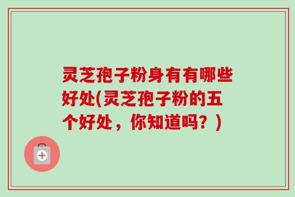 灵芝孢子粉身有有哪些好处(灵芝孢子粉的五个好处，你知道吗？)-第1张图片-卓越灵芝孢子粉