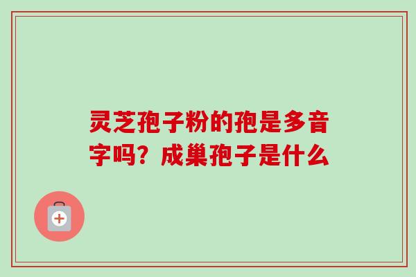 灵芝孢子粉的孢是多音字吗?成巢孢子是什么-第1张图片-卓越灵芝孢子粉 灵芝孢子粉的孢是多音字吗?成巢孢子是什么-第1张图片-卓越灵芝孢子粉