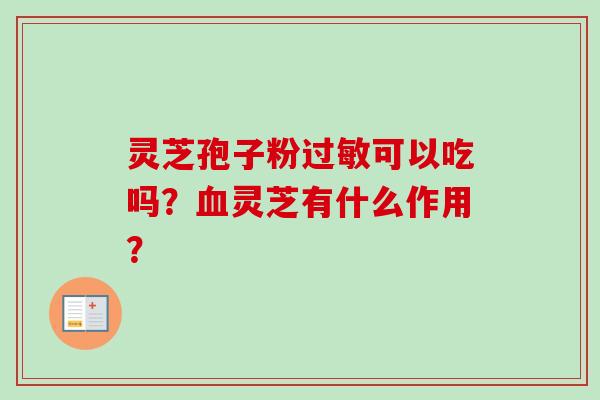 灵芝孢子粉过敏可以吃吗？血灵芝有什么作用？-第1张图片-卓越灵芝孢子粉