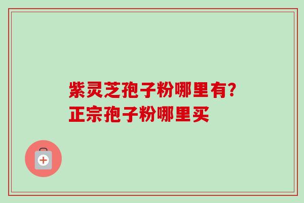紫灵芝孢子粉哪里有?正宗孢子粉哪里买-第1张图片-卓越灵芝孢子粉 紫灵芝孢子粉哪里有?正宗孢子粉哪里买-第1张图片-卓越灵芝孢子粉
