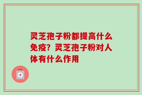 灵芝孢子粉都提高什么免疫?灵芝孢子粉对人体有什么作用-第1张图片-卓越灵芝孢子粉 灵芝孢子粉都提高什么免疫?灵芝孢子粉对人体有什么作用-第1张图片-卓越灵芝孢子粉