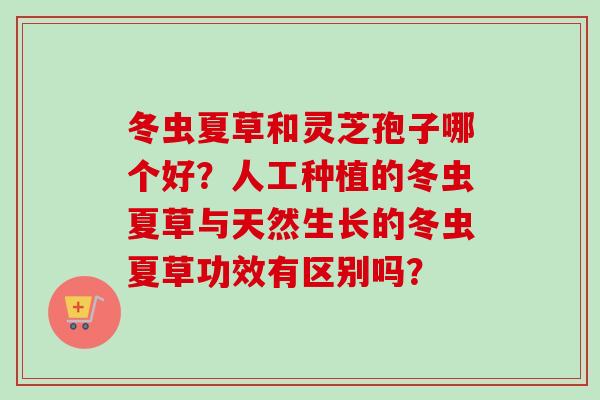 冬虫夏草和灵芝孢子哪个好?人工种植的冬虫夏草与天然生长的冬虫夏草功效有区别吗?-第1张图片-卓越灵芝孢子粉 冬虫夏草和灵芝孢子哪个好?人工种植的冬虫夏草与天然生长的冬虫夏草功效有区别吗?-第1张图片-卓越灵芝孢子粉