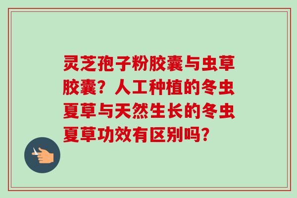 灵芝孢子粉胶囊与虫草胶囊?人工种植的冬虫夏草与天然生长的冬虫夏草功效有区别吗?-第1张图片-卓越灵芝孢子粉 灵芝孢子粉胶囊与虫草胶囊?人工种植的冬虫夏草与天然生长的冬虫夏草功效有区别吗?-第1张图片-卓越灵芝孢子粉