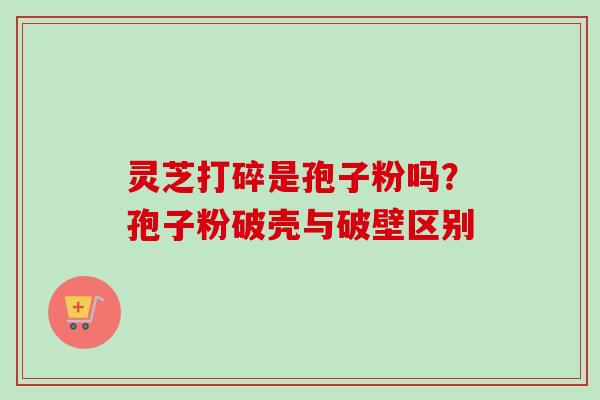 灵芝打碎是孢子粉吗?孢子粉破壳与破壁区别-第1张图片-卓越灵芝孢子粉 灵芝打碎是孢子粉吗?孢子粉破壳与破壁区别-第1张图片-卓越灵芝孢子粉
