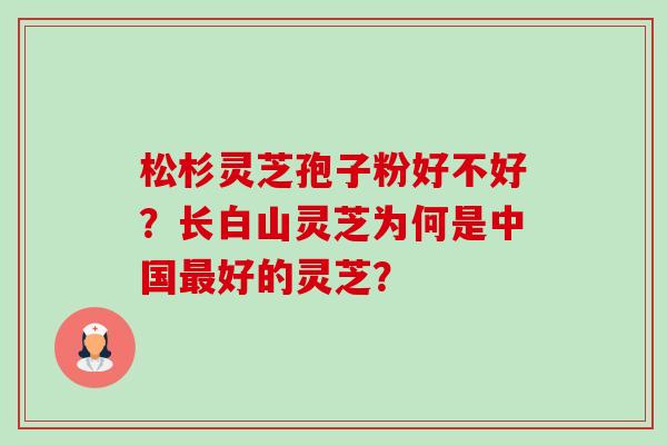 松杉灵芝孢子粉好不好？长白山灵芝为何是中国最好的灵芝？-第1张图片-卓越灵芝孢子粉