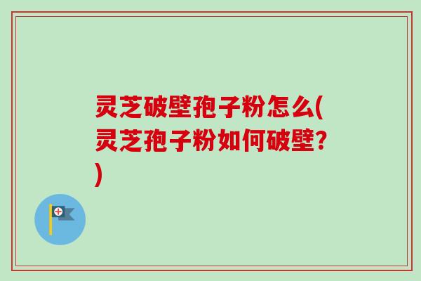灵芝破壁孢子粉怎么(灵芝孢子粉如何破壁?)-第1张图片-卓越灵芝孢子粉 灵芝破壁孢子粉怎么(灵芝孢子粉如何破壁?)-第1张图片-卓越灵芝孢子粉