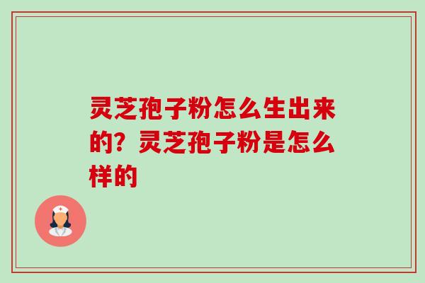 灵芝孢子粉怎么生出来的？灵芝孢子粉是怎么样的-第1张图片-卓越灵芝孢子粉