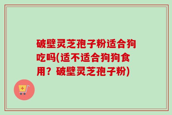 破壁灵芝孢子粉适合狗吃吗(适不适合狗狗食用?破壁灵芝孢子粉)-第1张图片-卓越灵芝孢子粉 破壁灵芝孢子粉适合狗吃吗(适不适合狗狗食用?破壁灵芝孢子粉)-第1张图片-卓越灵芝孢子粉