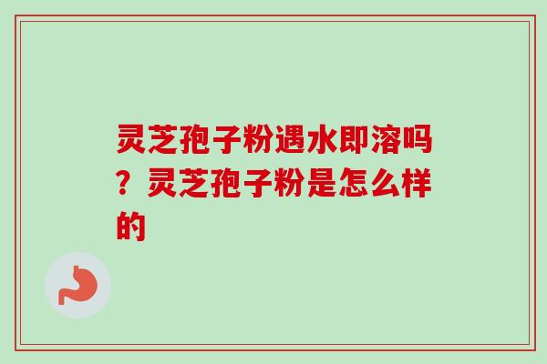 灵芝孢子粉遇水即溶吗？灵芝孢子粉是怎么样的-第1张图片-卓越灵芝孢子粉