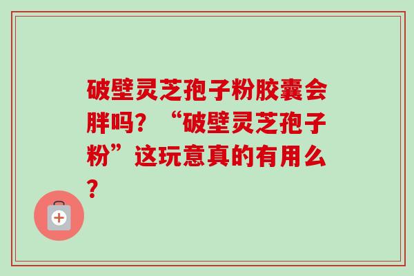 破壁灵芝孢子粉胶囊会胖吗？“破壁灵芝孢子粉”这玩意真的有用么？-第1张图片-卓越灵芝孢子粉