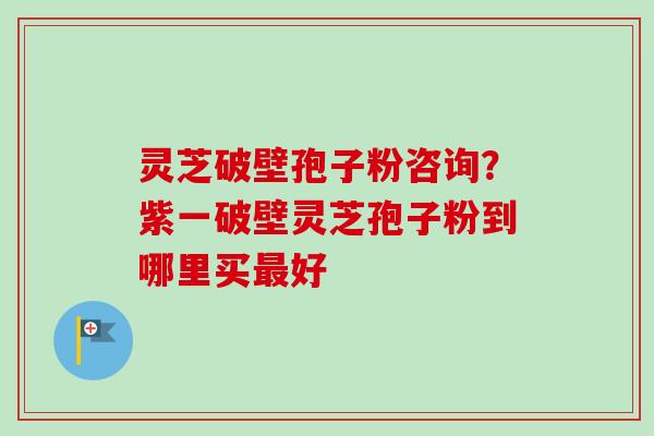 灵芝破壁孢子粉咨询？紫一破壁灵芝孢子粉到哪里买最好-第1张图片-卓越灵芝孢子粉