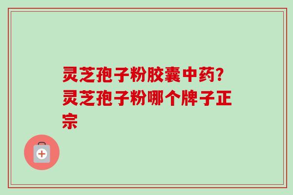 灵芝孢子粉胶囊中药？灵芝孢子粉哪个牌子正宗-第1张图片-卓越灵芝孢子粉