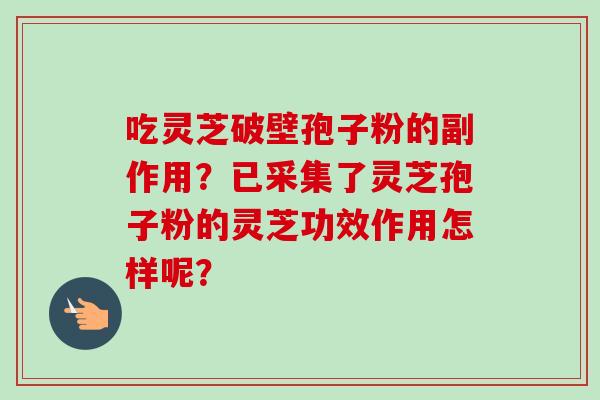 吃灵芝破壁孢子粉的副作用？已采集了灵芝孢子粉的灵芝功效作用怎样呢？-第1张图片-卓越灵芝孢子粉