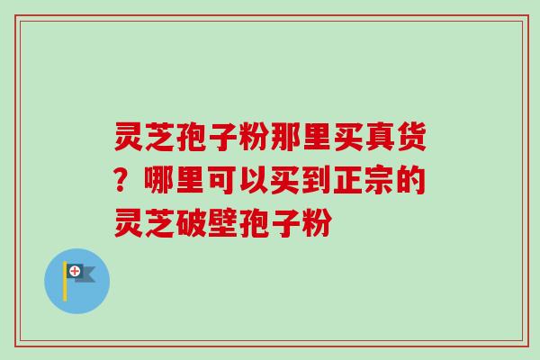 灵芝孢子粉那里买真货?哪里可以买到正宗的灵芝破壁孢子粉-第1张图片-卓越灵芝孢子粉 灵芝孢子粉那里买真货?哪里可以买到正宗的灵芝破壁孢子粉-第1张图片-卓越灵芝孢子粉
