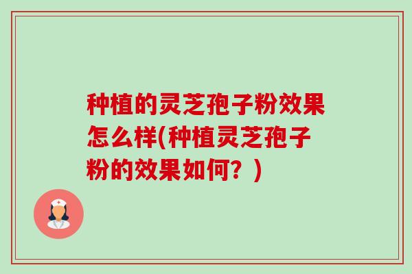 种植的灵芝孢子粉效果怎么样(种植灵芝孢子粉的效果如何？)-第1张图片-卓越灵芝孢子粉