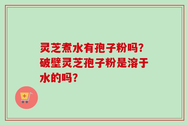 灵芝煮水有孢子粉吗？破壁灵芝孢子粉是溶于水的吗？-第1张图片-卓越灵芝孢子粉