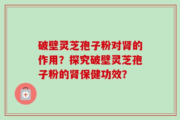 破壁灵芝孢子粉对肾的作用?探究破壁灵芝孢子粉的肾保健功效?-第1张图片-卓越灵芝孢子粉 破壁灵芝孢子粉对肾的作用?探究破壁灵芝孢子粉的肾保健功效?-第1张图片-卓越灵芝孢子粉