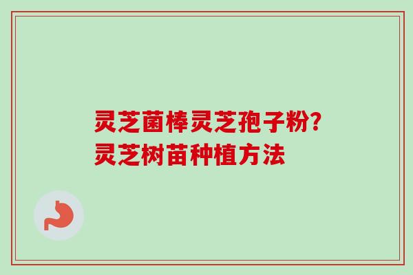 灵芝菌棒灵芝孢子粉?灵芝树苗种植方法-第1张图片-卓越灵芝孢子粉 灵芝菌棒灵芝孢子粉?灵芝树苗种植方法-第1张图片-卓越灵芝孢子粉