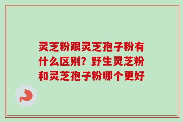 灵芝粉跟灵芝孢子粉有什么区别?野生灵芝粉和灵芝孢子粉哪个更好-第1张图片-卓越灵芝孢子粉 灵芝粉跟灵芝孢子粉有什么区别?野生灵芝粉和灵芝孢子粉哪个更好-第1张图片-卓越灵芝孢子粉